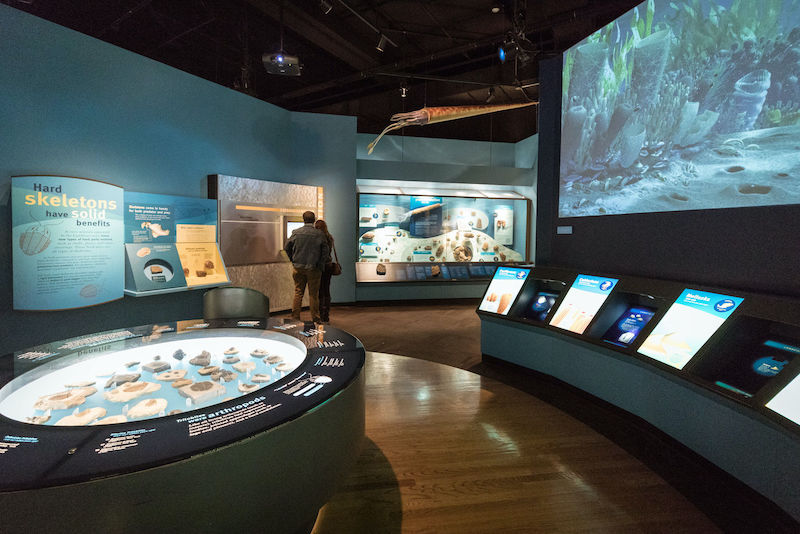 Exposição na ala Evolving Planet no Field Museum em Chicago