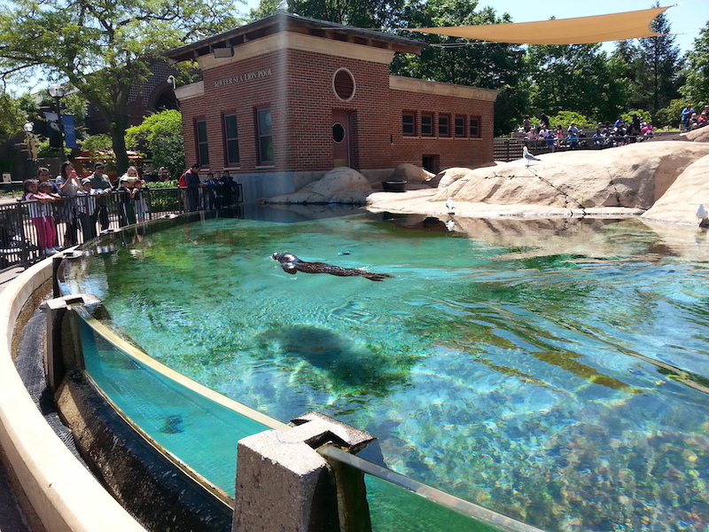 Exposição de animais no Lincoln Park Zoo em Chicago