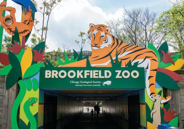 Zoológico Brookfield perto de Chicago